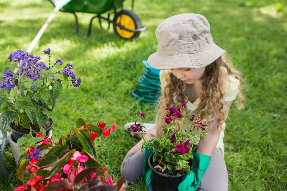 Apprendre à composer un jardin magnifique et harmonieux