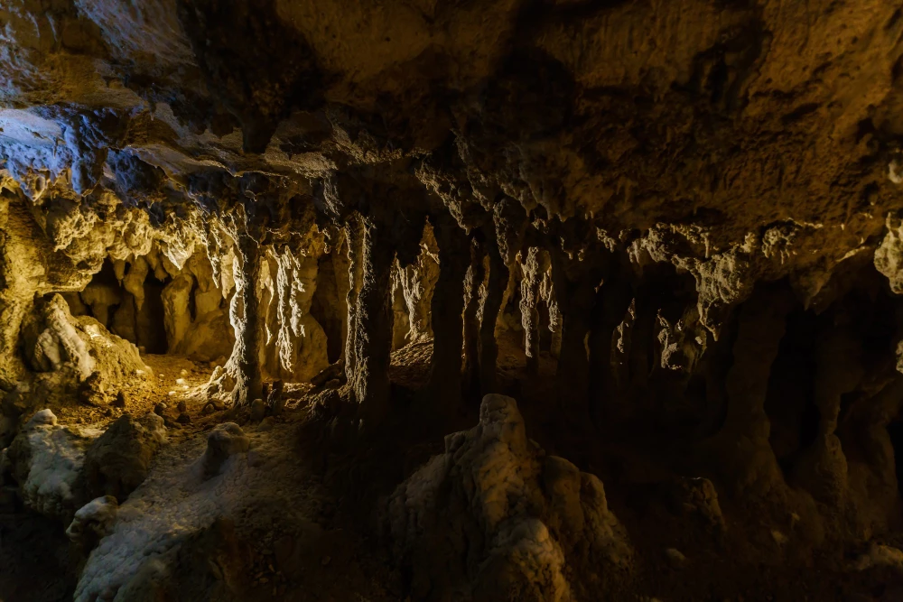 Grottes de Waitomo: magie souterraine en Nouvelle-Zélande